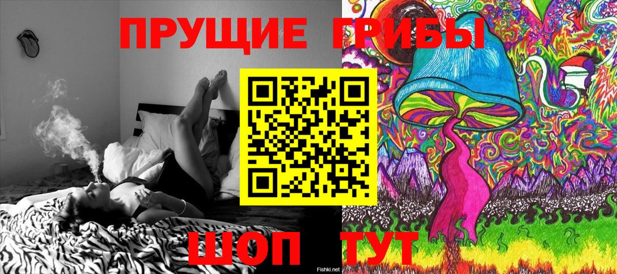 Галлюциногенные грибы Cubensis  Вход с VPN  Галлюциногенные грибы ЛСД  Одинцово 