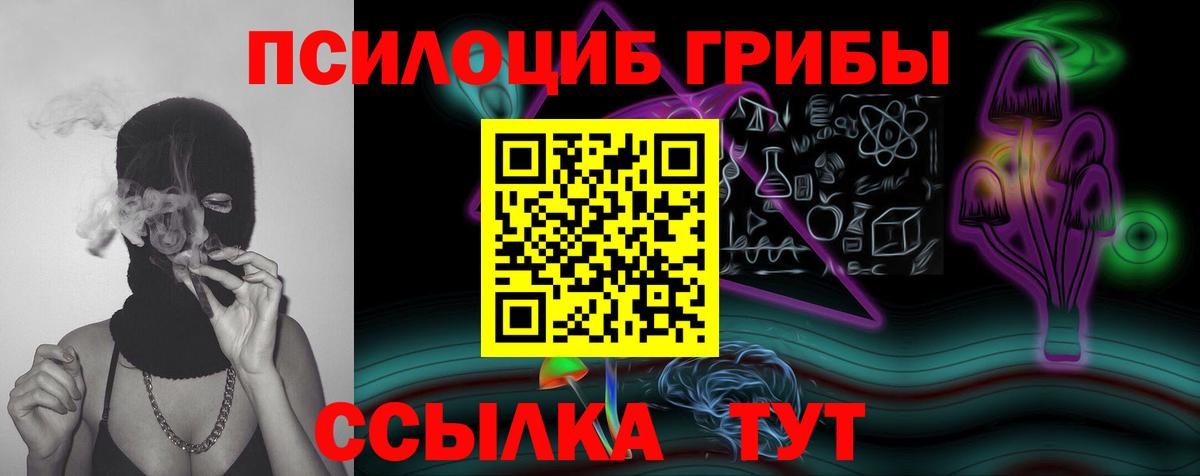 Псилоцибиновые грибы Psilocybine cubensis Одинцово